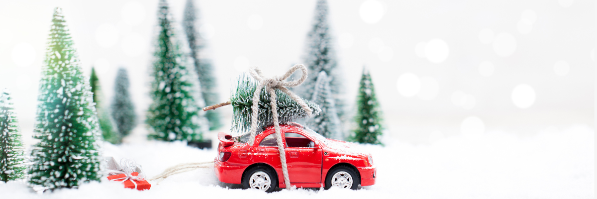 TOP 10 Holiday Gifts Under $1k